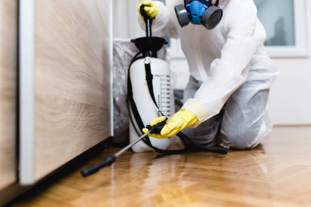 Best Local Pest Control Services  in Wappingers Falls, NY