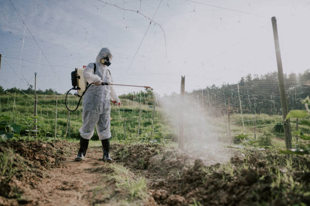 Best Local Pest Control Services  in Wappingers Falls, NY