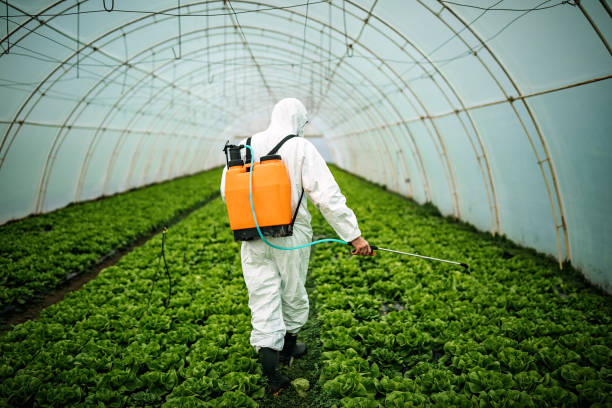 Best Pest Control Cost  in Wappingers Falls, NY