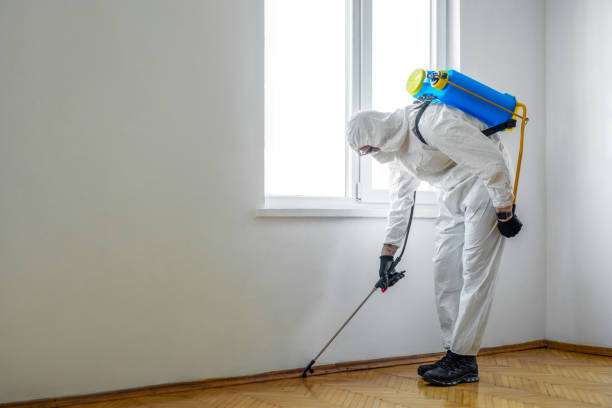 Best Best Pest Control Companies  in Wappingers Falls, NY
