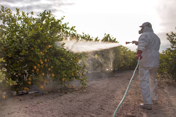 Professional Pest Control in Wappingers Falls, NY