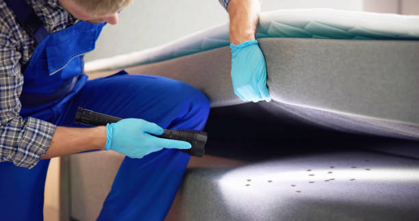 Best Pest Removal Services  in Wappingers Falls, NY