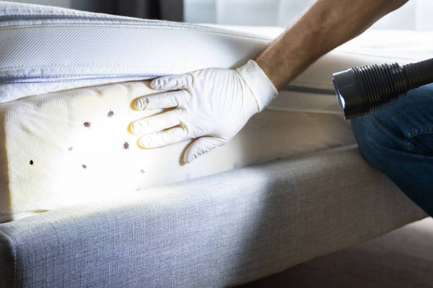 Best Wasp Removal Services  in Wappingers Falls, NY