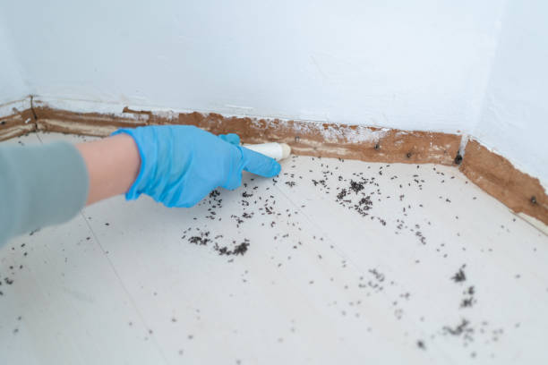Pest Control Cost in Wappingers Falls, NY
